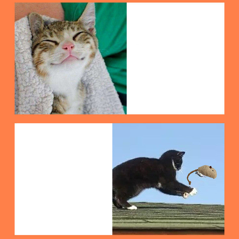 Funny Cat Toy
