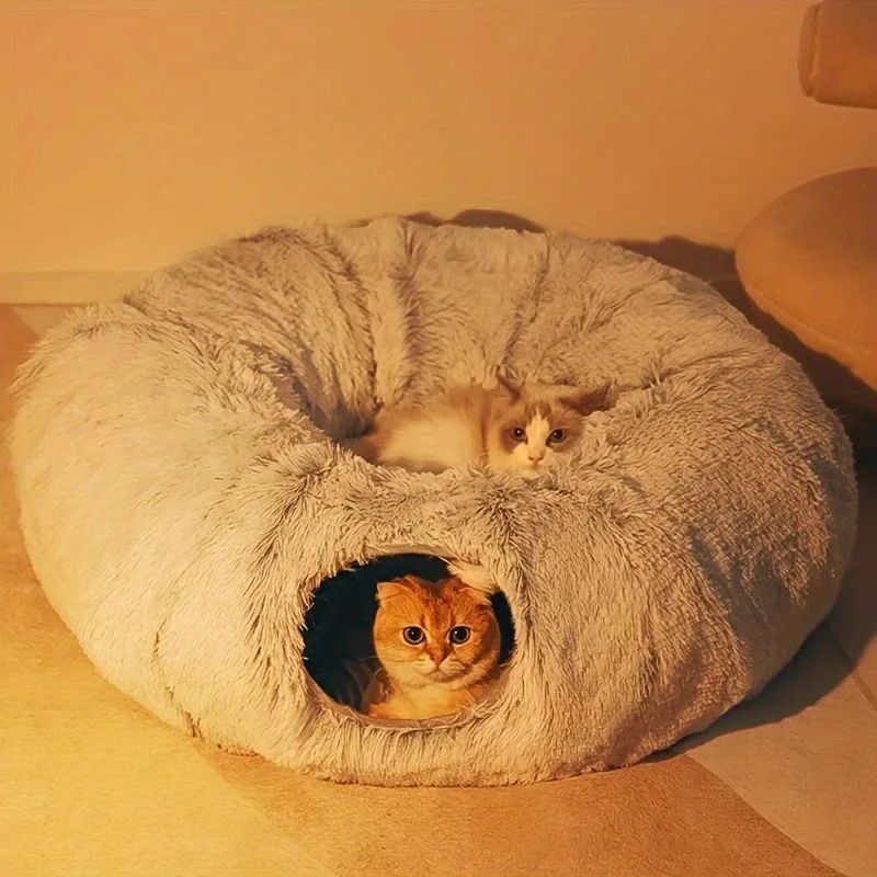 The Pawfectly Warm Bed